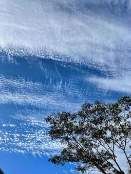 今日の空 今日の空の写真