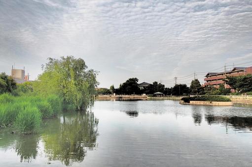 5月の公園風景 5月の公園風景 市場池公園,公園,園地の写真素材