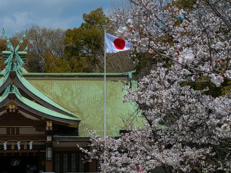 日章旗と桜 日章旗,日の丸,国旗の写真素材