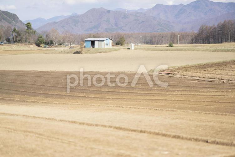 春の作付け前に整備された畑 農業,畑,作付の写真素材