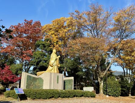 秋の昼間の紫式部公園　11月　紅葉 11月,昼間,カラフルの写真素材