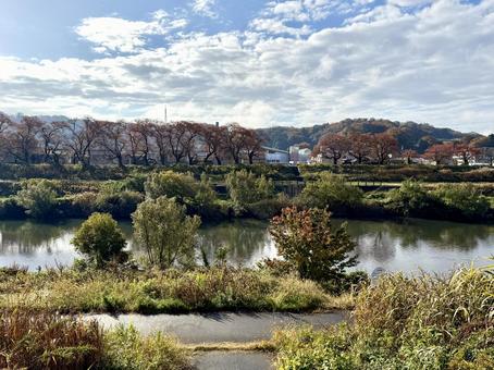 11月末の昼間　晩秋の福井県の足羽川 11月末,晩秋,景色の写真素材