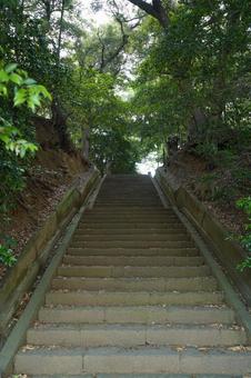 船橋市柏井唱行寺の石段 船橋市柏井唱行寺の石段 石段,木,林の写真素材
