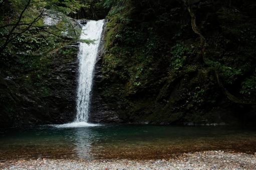 岐阜の滝 白滝 岐阜の滝 白滝の写真