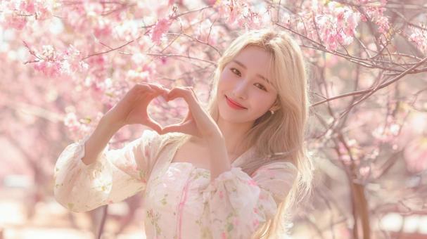 桜の下で微笑む韓国風美女 桜の下で微笑む韓国風美女の写真