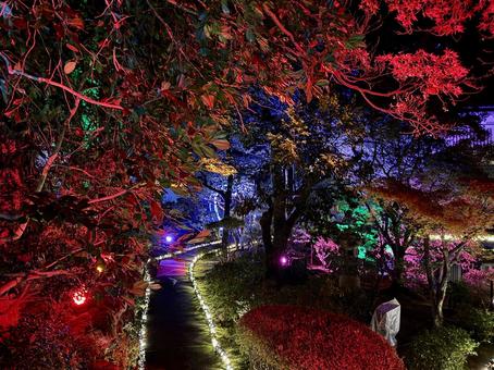 越前陶芸村　陶あかり　福井県陶芸館 福井県陶芸館,幽石庭,灯火の写真素材
