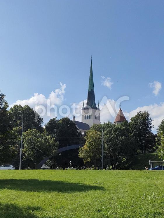 世界遺産　エストニア・タリンの街並み 世界遺産,中世ヨーロッパ,エストニアの写真素材