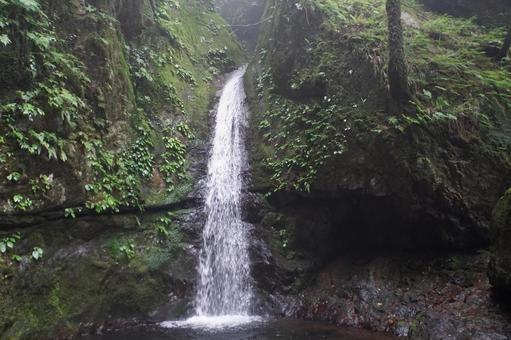 滝 滝 山,木,雲の写真素材