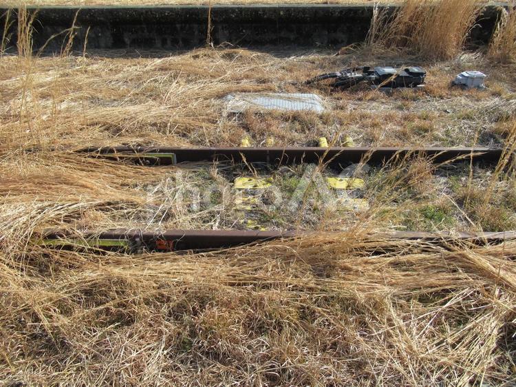 烏山駅・枯れ草に覆われたレール レール,鉄道,枕木の写真素材
