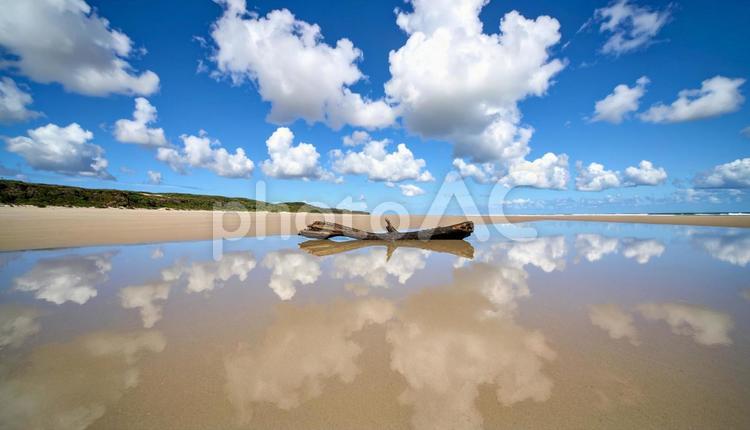 海と砂浜と流木と青い空 海,砂浜,流木の写真素材