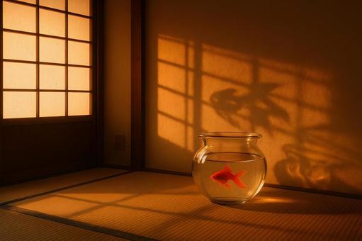 夕暮れの金魚鉢 夕暮れの金魚鉢の写真