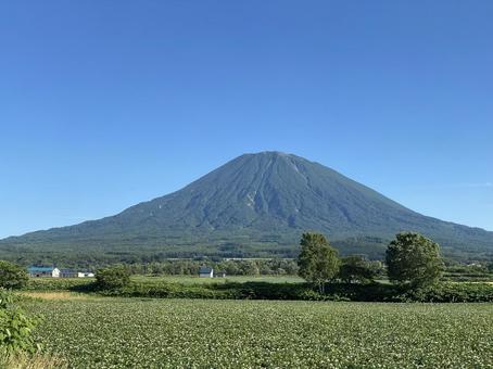 北海道の富士山 北海道の富士山 北海道,山,羊蹄山の写真素材