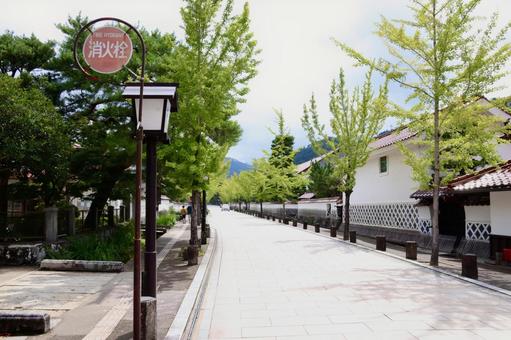 夏の津和野 夏の津和野 津和野,白壁,殿町通りの写真素材