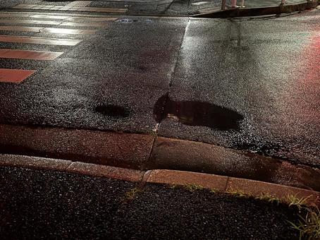 Photo, the way, rain, night view, 