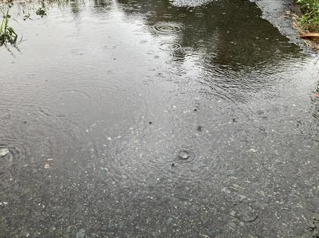 水溜まり 水溜まりの写真