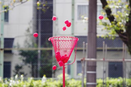 運動会の玉入れ合戦 運動会の玉入れ合戦 玉入れ,たま入れ,かごの写真素材