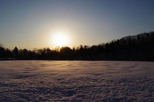 朝の雪景色 朝の雪景色の写真