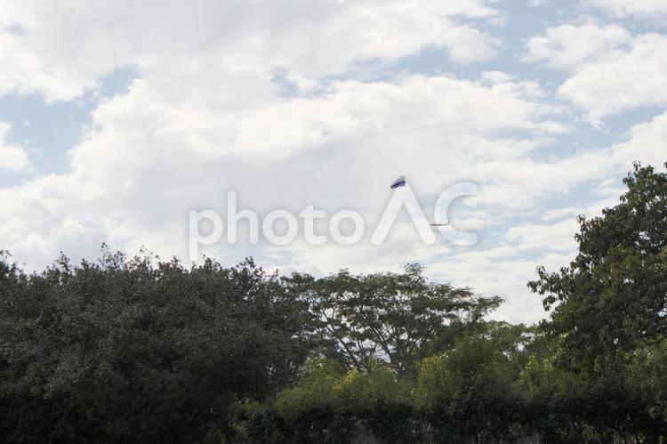 風と共に舞う：凧の舞台 空,凧,雲の写真素材