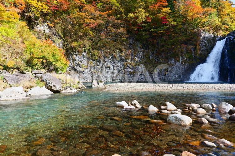 法体の滝の紅葉 法体の滝,滝,秋の写真素材