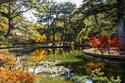 秋の有備館⑻ 秋,紅葉,モミジの写真素材