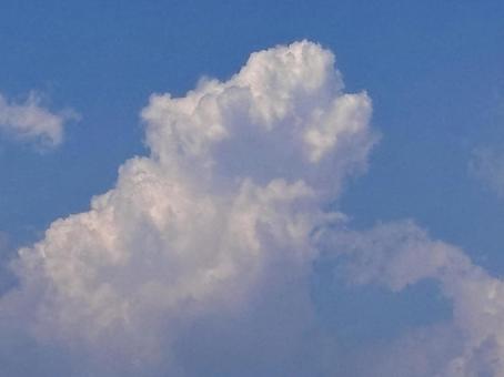 【風景写真】夏空 【風景写真】夏空の写真