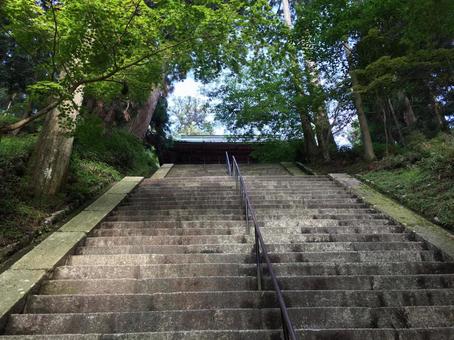 山道の階段 山道の階段 山,緑,森の写真素材
