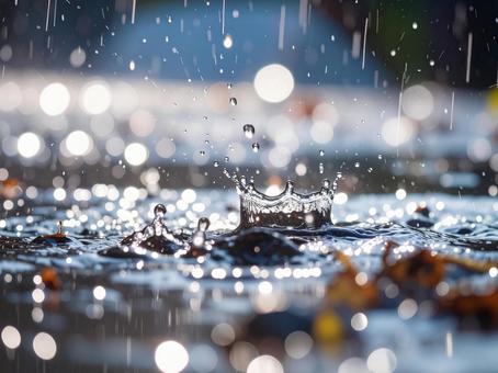 雨 雨の写真