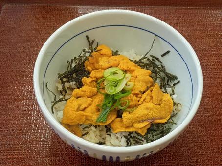 ウニ丼 ウニ丼の写真