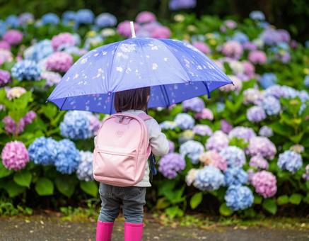 紫陽花と少女 紫陽花と少女の写真