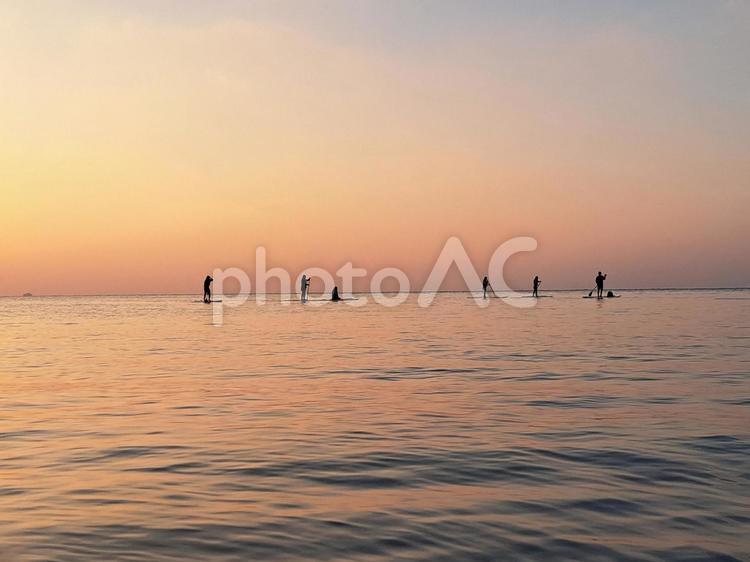 沖縄　石垣島　吹通川 夕日　SUP 沖縄,石垣島,吹通川の写真素材
