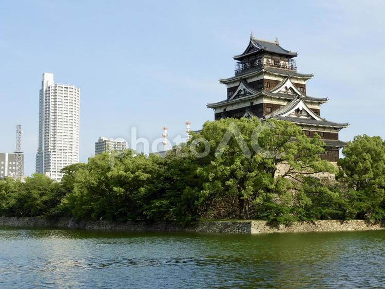 広島城天守と城下町のビル群 広島城,広島市,広島の写真素材