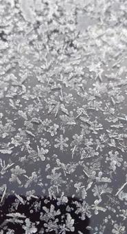 雪の結晶、集合 雪の結晶,雪,結晶の写真素材