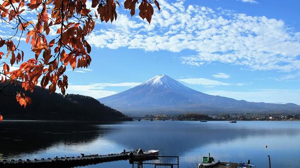 河口湖畔から眺める11月朝の富士山 富士山,紅葉,秋の写真素材