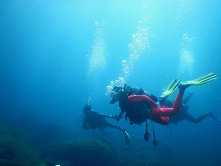 ダイビング ダイビング,海,水中の写真素材