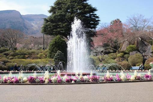 噴水 噴水の写真