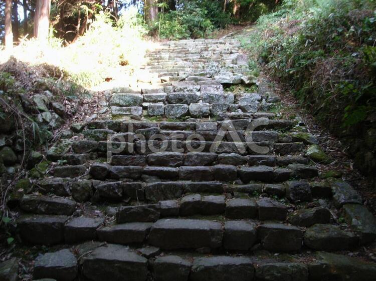 摠見寺跡石段 安土城跡,安土城の写真素材