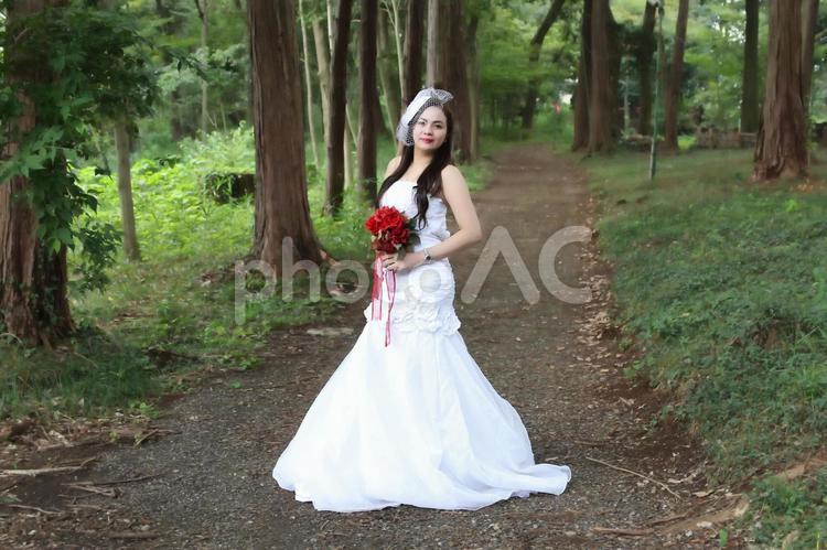 美人女性　森の中で散歩s_073 ウエディングドレス,白,ハットの写真素材