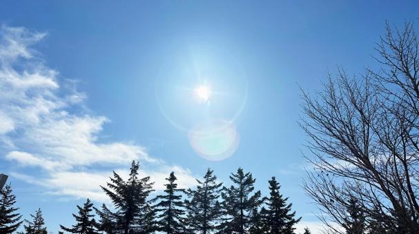 晴れた日の冬の空 晴れた日の冬の空の写真