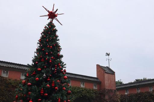 クリスマスツリー アイビースクエア クリスマスツリー アイビースクエア クリスマスツリー,アイビースクエア,日本の写真素材