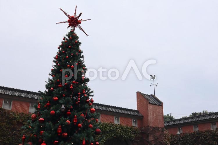 クリスマスツリー　アイビースクエア クリスマスツリー,アイビースクエア,日本の写真素材
