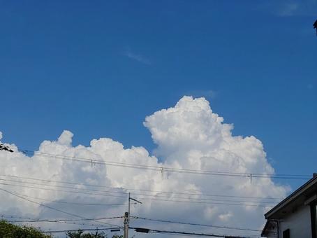 夏空 夏空の写真
