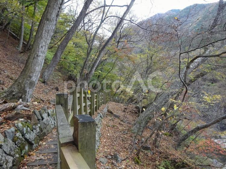 龍王峡（虹見橋～むささび橋間の風景） 龍王峡,虹見橋,むささび橋の写真素材