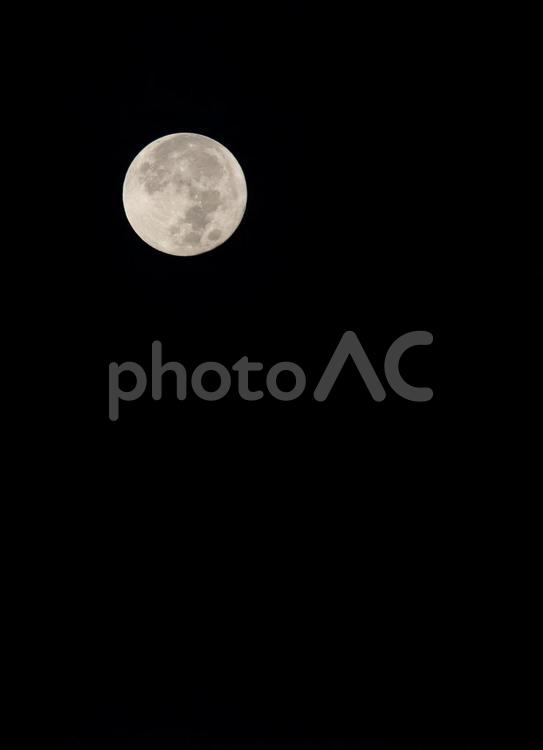 名月　十五夜の満月 月,名月,十五夜の写真素材