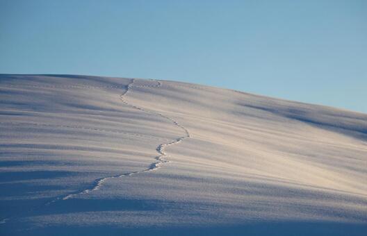 雪の丘に続く足跡と光の陰影 雪原,丘陵,丘の写真素材