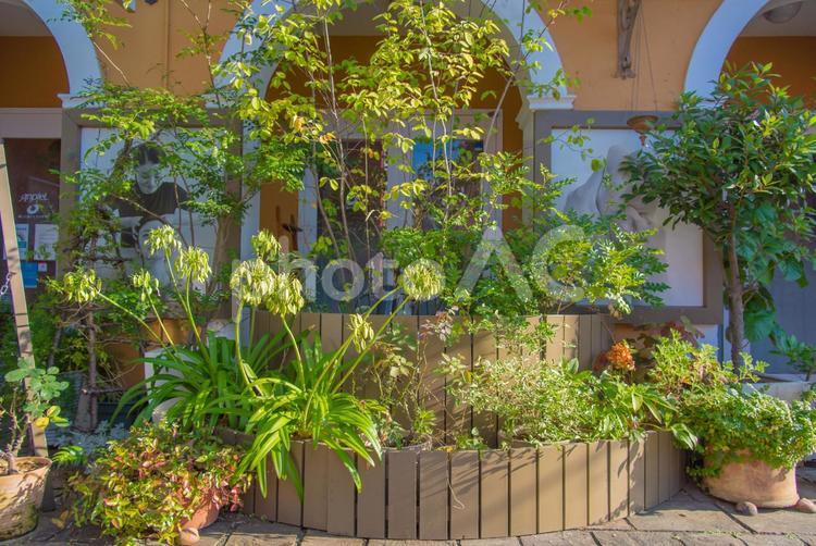 イタリア風のお店 イタリア風,水辺,夏の写真素材