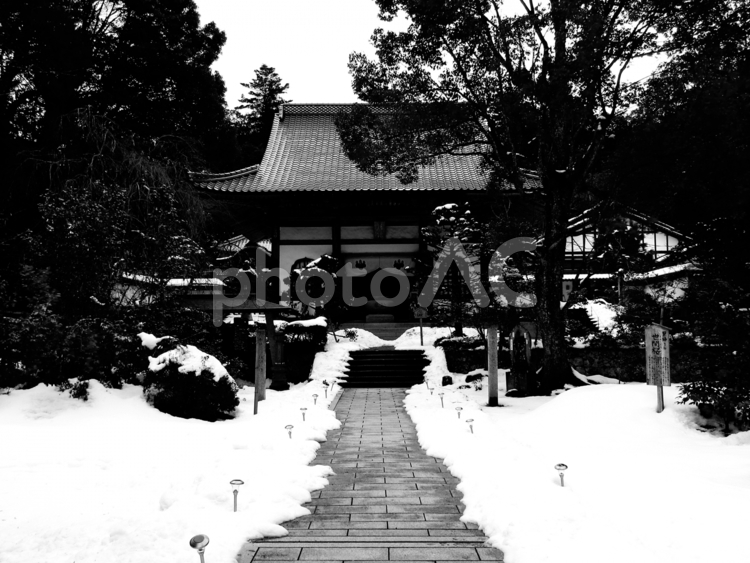 島根県-雲樹寺-仏殿-白黒 雲樹寺,瑞塔山,寺の写真素材