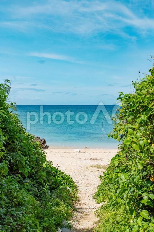 青い海と白い砂浜 ビーチ,砂浜,青い海の写真素材