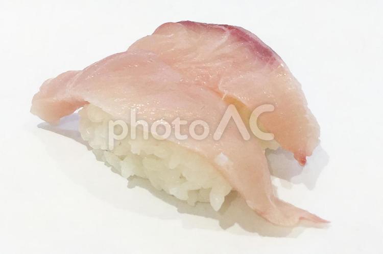 はまちの握り寿司 鮨,寿司,はまちの写真素材