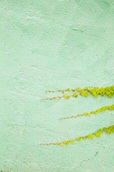 グリーンの壁と植物の写真