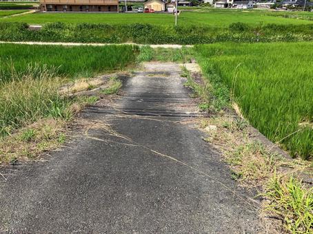 田んぼの間の農道 田んぼの間の農道の写真